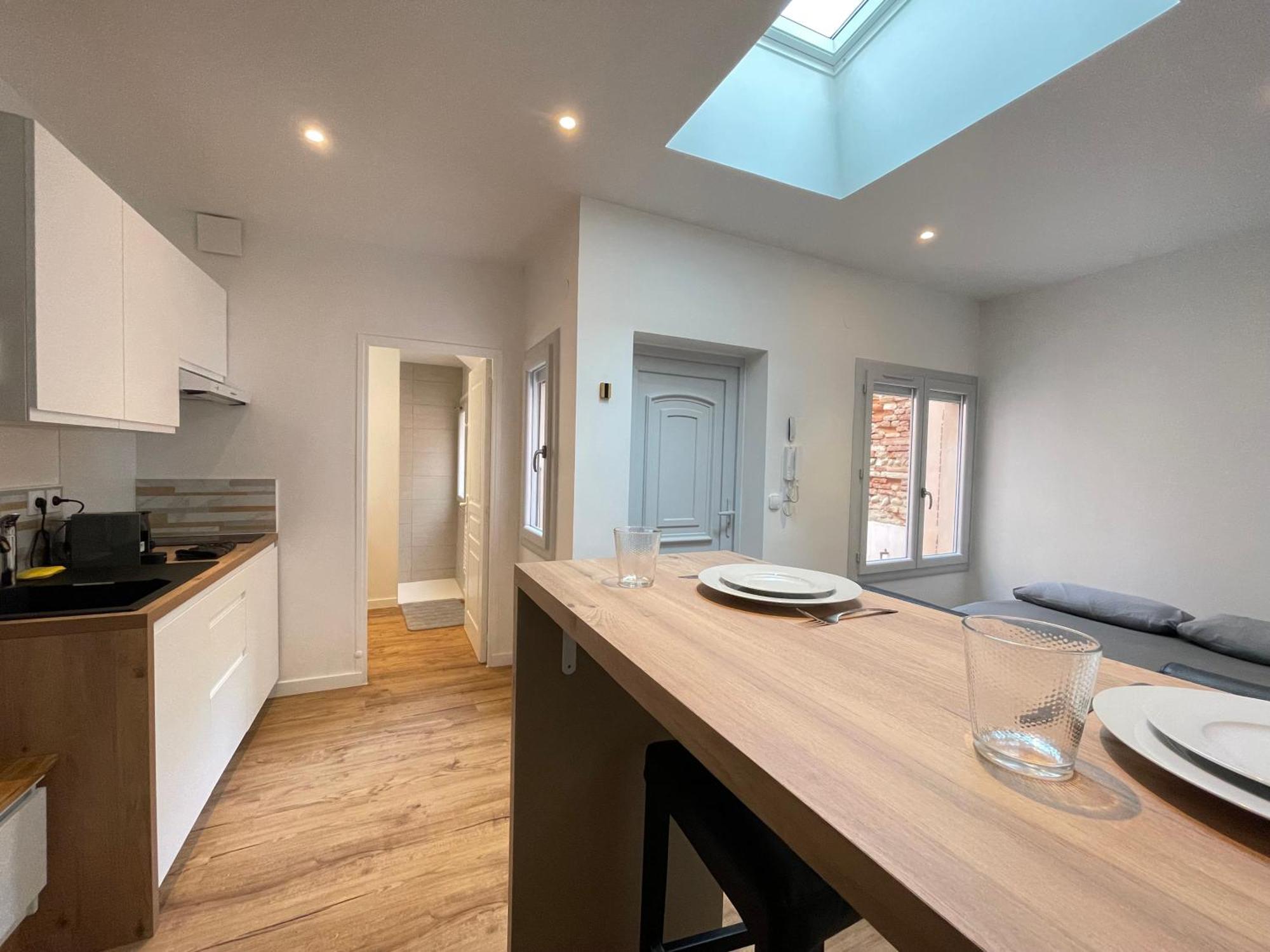 Studio Toulouse Pargaminieres Dış mekan fotoğraf